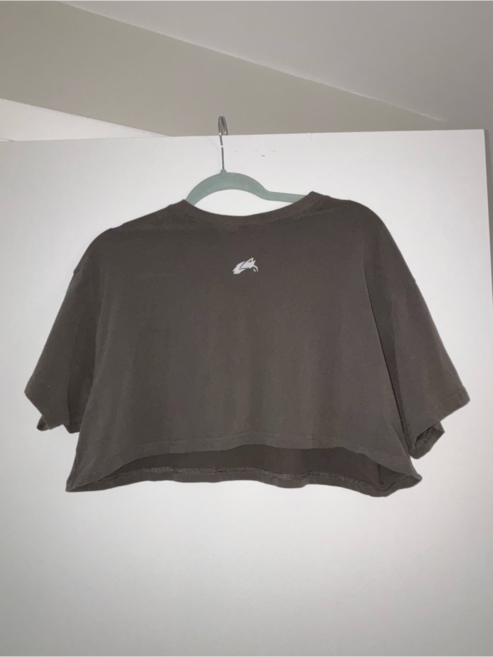 Alphalete Cropped Boxy Tee - Brown